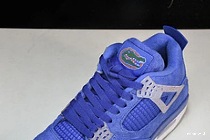 Hyperoad Jordan Air Gators